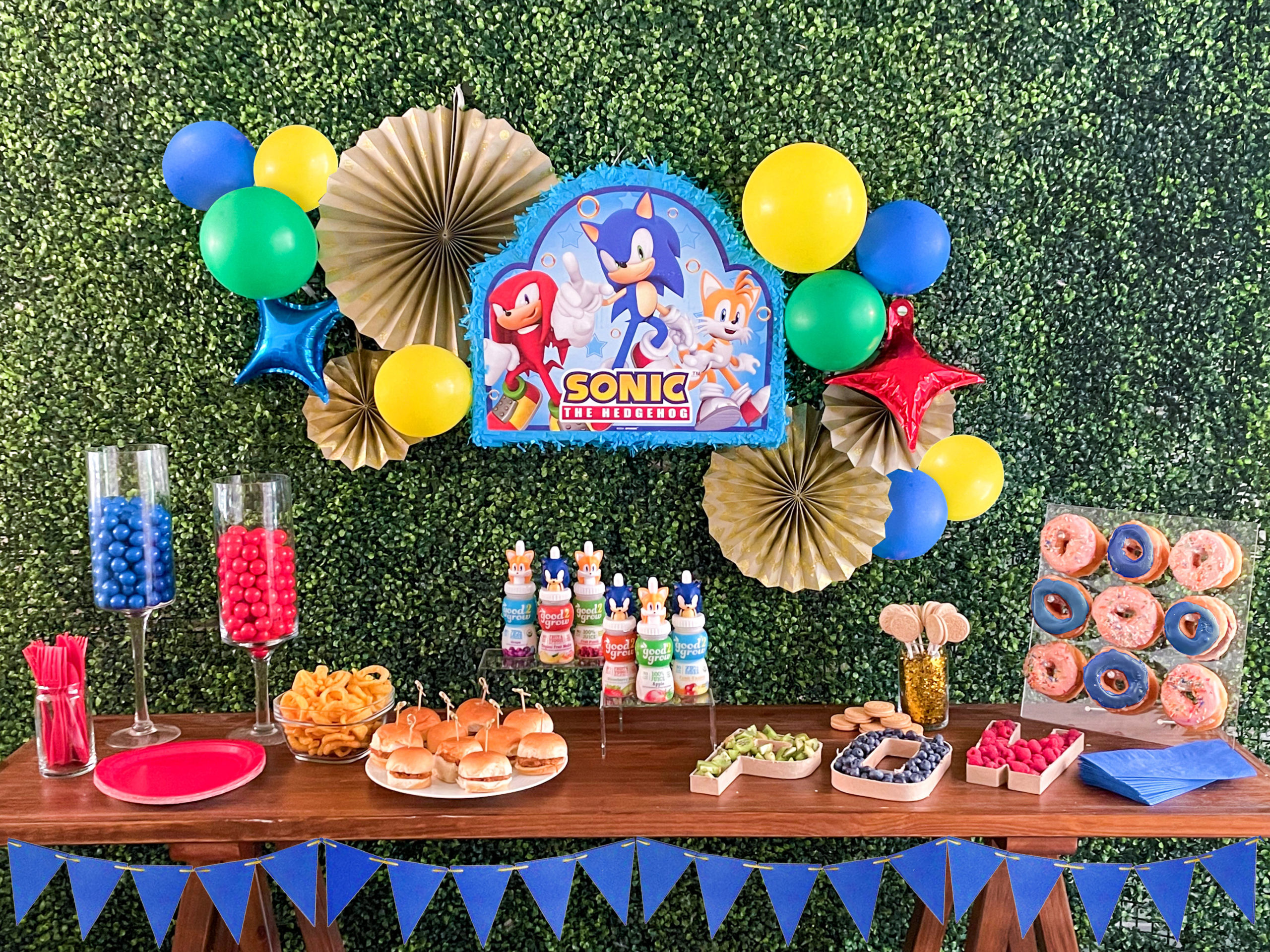 Metal Sonic birthday Party