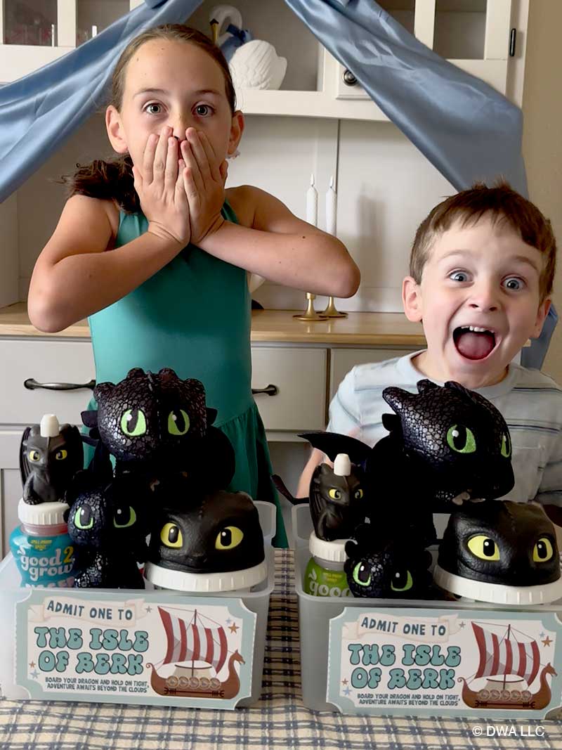How To Train Your Dragon Movie Basket 