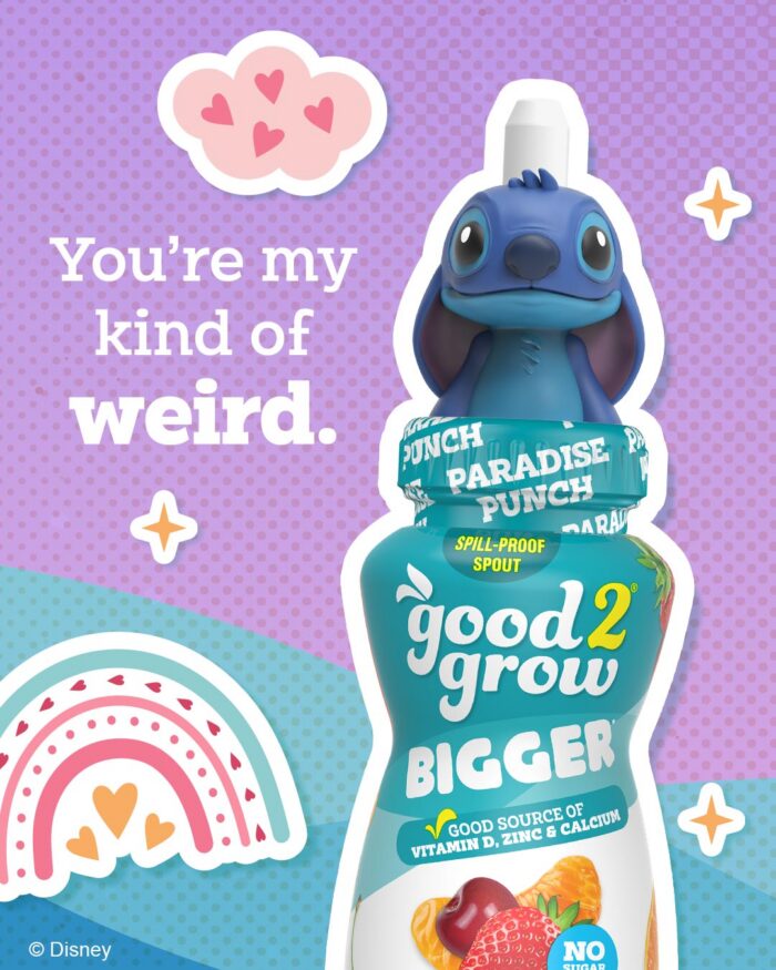 Stitch Valentine's Day Carf